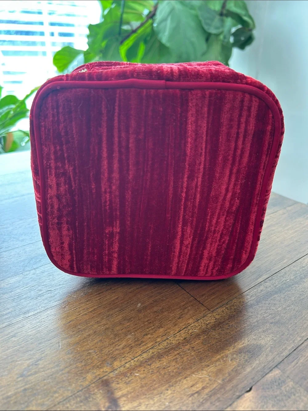 Sézane Mini Vanity Red Crushed Velvet Zip Cosmetic Makeup Case Tassel Zipper